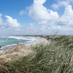 Thy National Park - Thisted