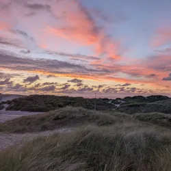 Thy National Park - Thisted