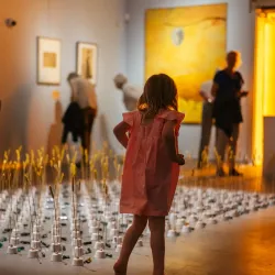 Vejle Museum of Art and History - Vejle