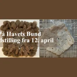 Blicheregnen Park - Viborg