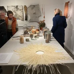 Blicheregnen Park - Viborg