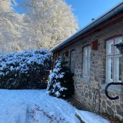 Blicheregnen Park - Viborg