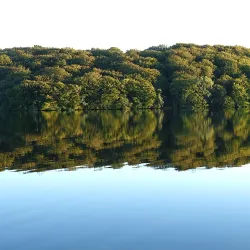 Hald Lake (Hald Sø) - Viborg