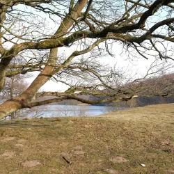 Hald Lake (Hald Sø) - Viborg