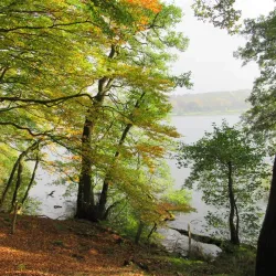 Hald Lake (Hald Sø) - Viborg