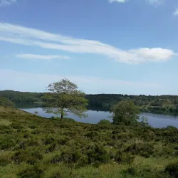 Hald Lake (Hald Sø) - Viborg
