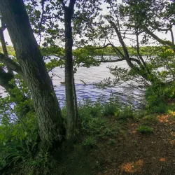 Hald Lake (Hald Sø) - Viborg