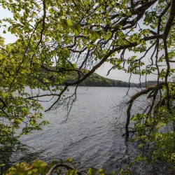 Hald Lake (Hald Sø) - Viborg