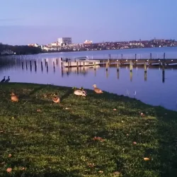 Old Town Viborg - Viborg