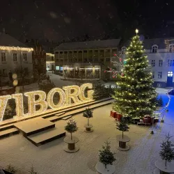 Old Town Viborg - Viborg