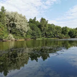 Old Town Viborg - Viborg