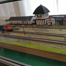 Viborg Museum - Viborg