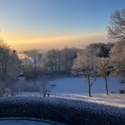 Skibelund Krat - Vojens