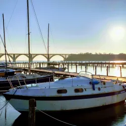 Kalvehave Forest - Vordingborg