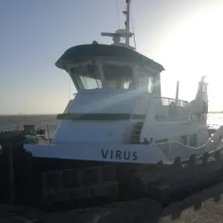 Kalvehave Forest - Vordingborg