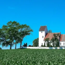 Kalvehave Forest - Vordingborg