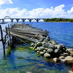 Kalvehave Forest - Vordingborg