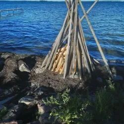 Kalvehave Forest - Vordingborg