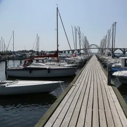 Kalvehave Forest - Vordingborg