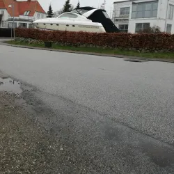 Kalvehave Forest - Vordingborg