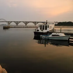 Kalvehave Forest - Vordingborg