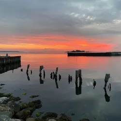 Masnedø Island - Vordingborg