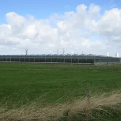 Masnedø Island - Vordingborg