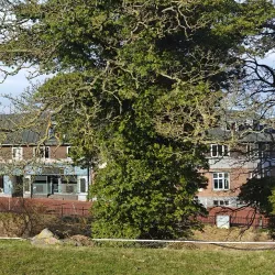 Vordingborg Art Museum - Vordingborg