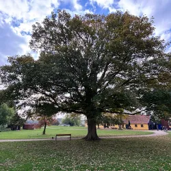 Vordingborg Castle Ruins - Vordingborg