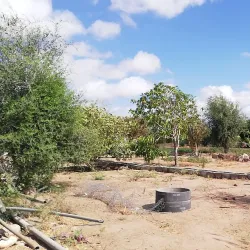 Ali Sabieh Cultural Center - Ali Sabieh