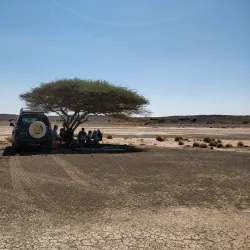 Grand Bara Desert - Ali Sabieh