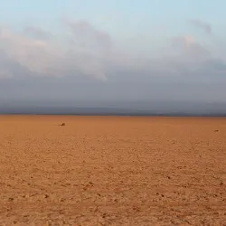 Grand Bara Desert - Ali Sabieh