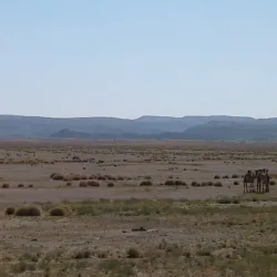 Grand Bara Desert - Ali Sabieh