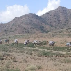 Local Traditional Villages - Ali Sabieh