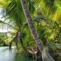 Indian River - Atkinson