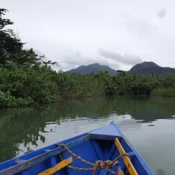 Indian River - Atkinson