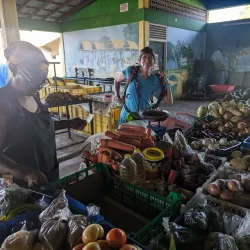 Local Markets in Atkinson - Atkinson