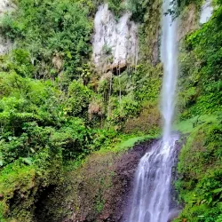 Middleham Falls - Atkinson