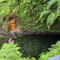 Morne Trois Pitons National Park - Atkinson