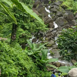 Trafalgar Falls - Atkinson