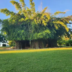 Boetica Botanical Gardens - Boetica