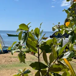 Boetica Kayaking Tours - Boetica