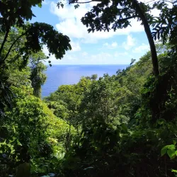 Boetica Lookout Point - Boetica