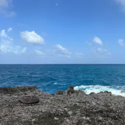 Boetica Lookout Point - Boetica