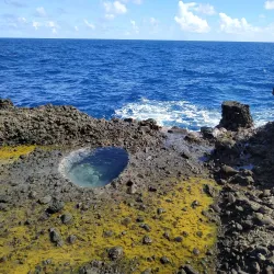 Boetica Nature Trail - Boetica