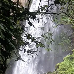 Boetica Waterfalls - Boetica