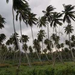 Calibishie Bay - Calibishie