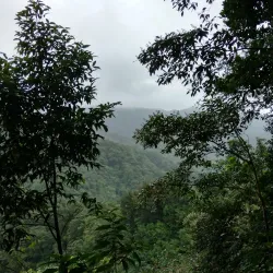 Emerald Pool - Calibishie