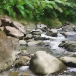 Sari Sari Falls - Calibishie