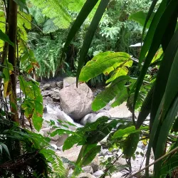 Sari Sari Falls - Calibishie